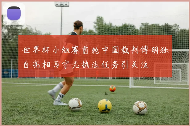 世界杯小组赛首轮中国裁判傅明独自亮相马宁无执法任务引关注